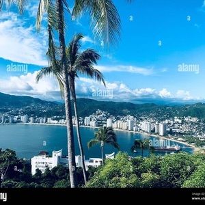 Meet your Posher, Gladis